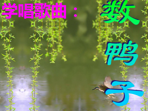 人音版一年级音乐：《数鸭子》课件3.ppt