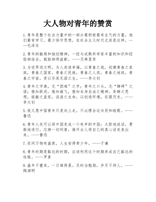 大人物对青年的赞赏