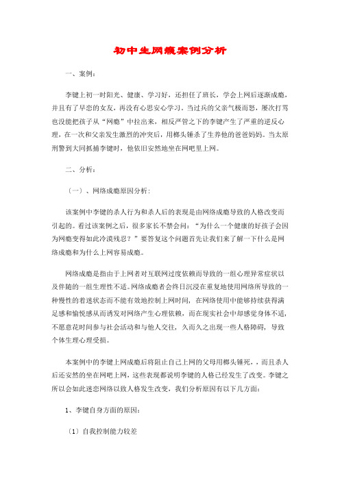 初中生网瘾案例分析
