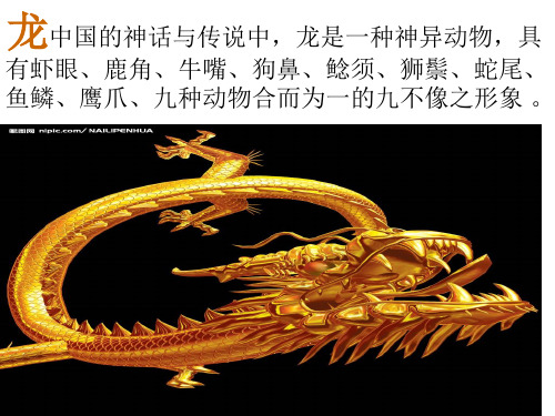 音乐《小龙人》公开课课件