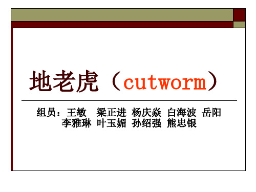 地老虎