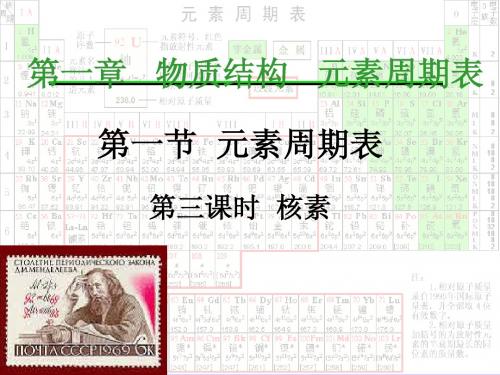 核素
