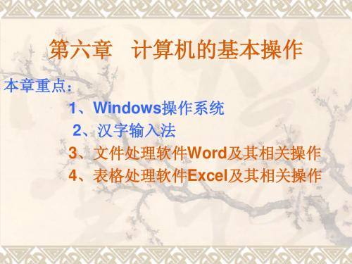 初级会计电算化第六章3-4节1