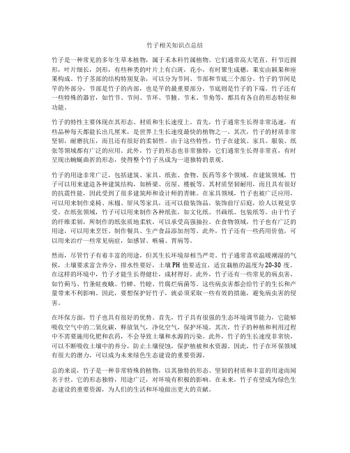 竹子相关知识点总结