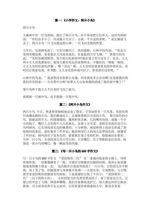关于两只小鸟的作文,600字