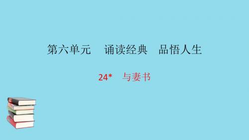 九年级语文下册第六单元24与妻书习题课件语文版