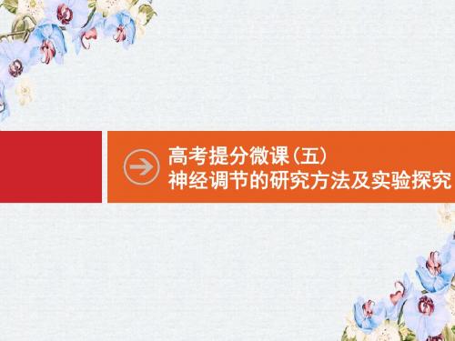 2019高三生物人教版一轮课件：高考提分微课5