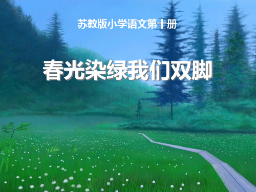 《春光染绿我们双脚》PPT课件2