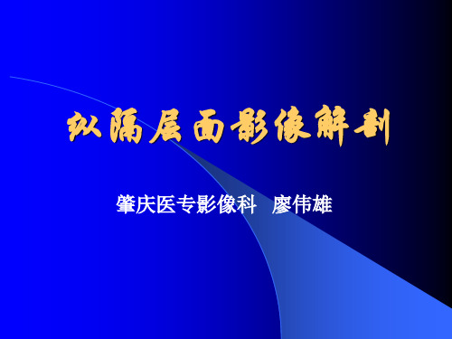 纵隔断层