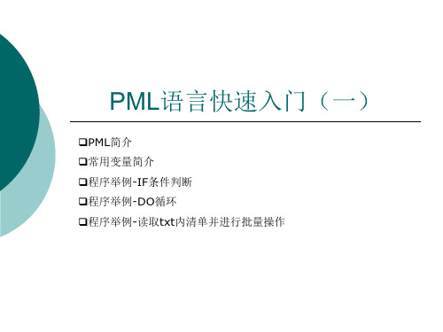 PML快速入门