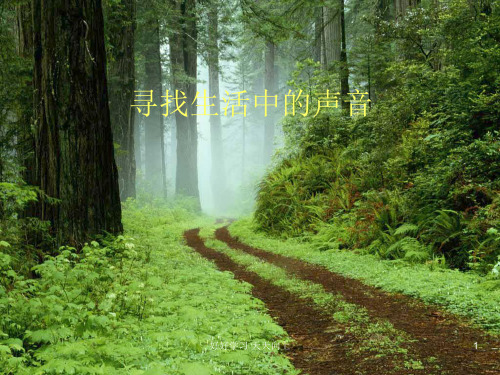 人教版小学音乐一年级上册 寻找生活中的声音 (简谱)名师教学课件
