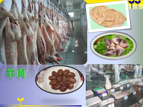 羊肉ppt