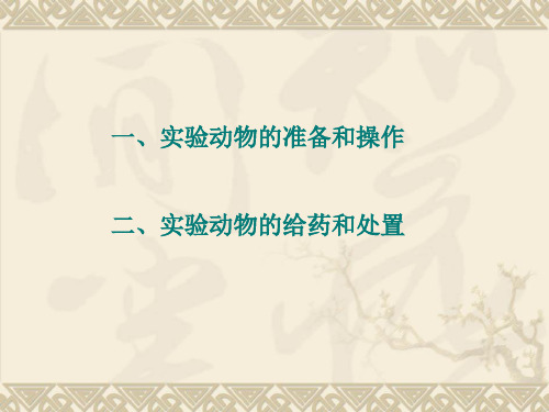 动物的抓取和保定小鼠的抓取和保定