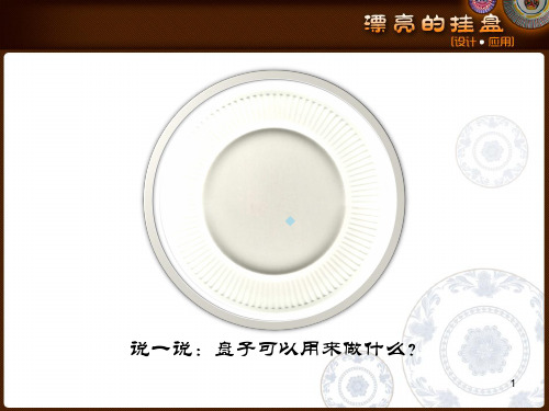 漂亮的挂盘-公开课PPT课件