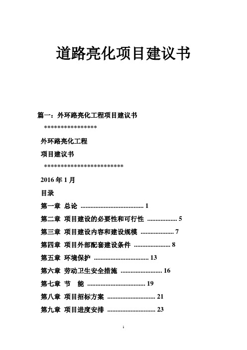 道路亮化项目建议书