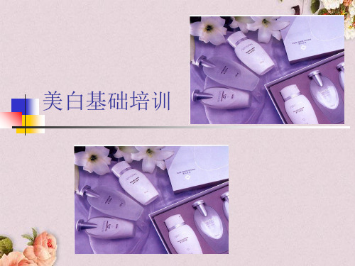 皮肤美白基础培训(ppt 57页)
