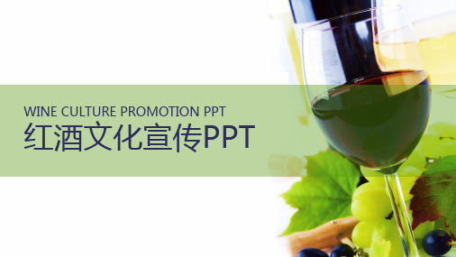 红酒葡萄酒产品宣传册 (11)