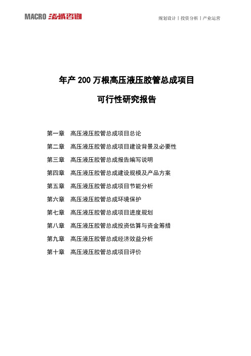 年产200万根高压液压胶管总成项目可行性研究报告