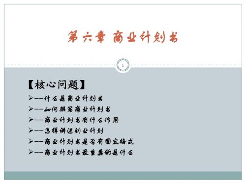 第六章 商业计划书(0510)