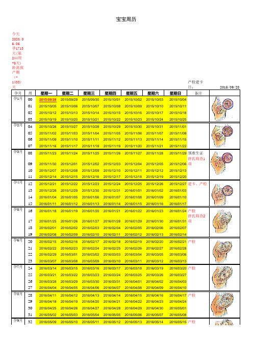 宝宝周历万能表
