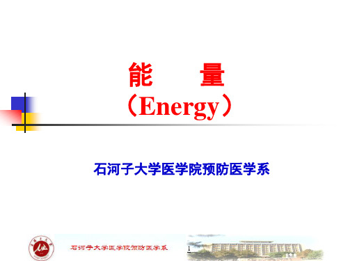 新版能量(Energy)精华版.ppt