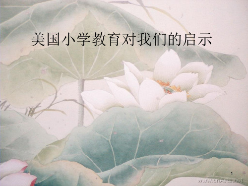美国小学教育对我们的启示PPT课件