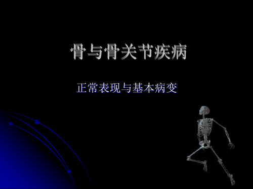 骨骼与肌肉系统2正常影像表现3基本病变表现课件