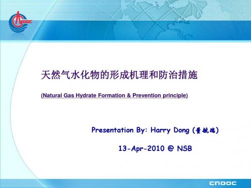 天然气水化物的形成机理和防治措施--董航瑞资料