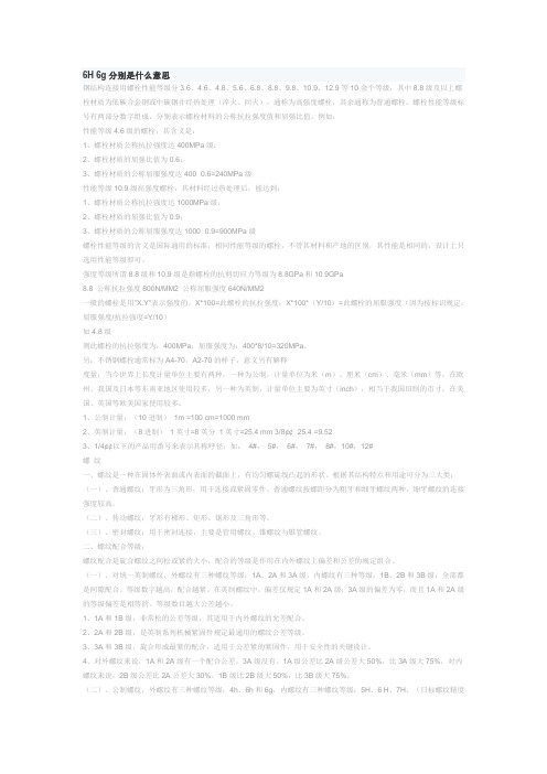6H 6g分别是什么意思