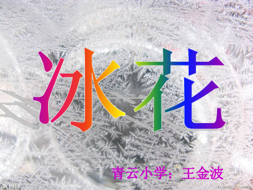 苏教版小学一年级语文上册10《冰花》_PPT课件