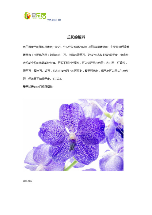 兰花的植料