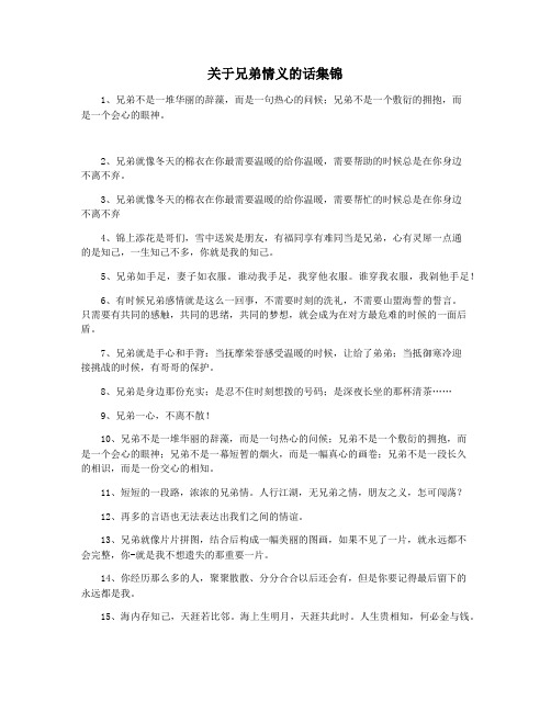 关于兄弟情义的话集锦