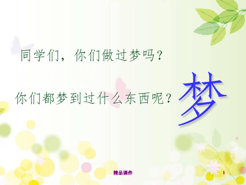 (全)人教版二年级下册语文32 阿德的梦ppt课件