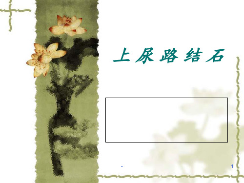 上尿路结石PPT课件