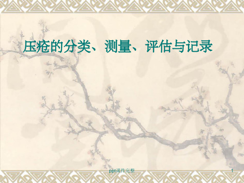 压疮的分类、测量、评估与记录ppt课件