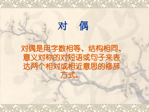对偶