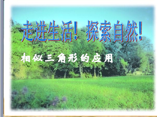 华东师大版数学九年级上册23.3相似三角形的应用课件(共27张PPT)