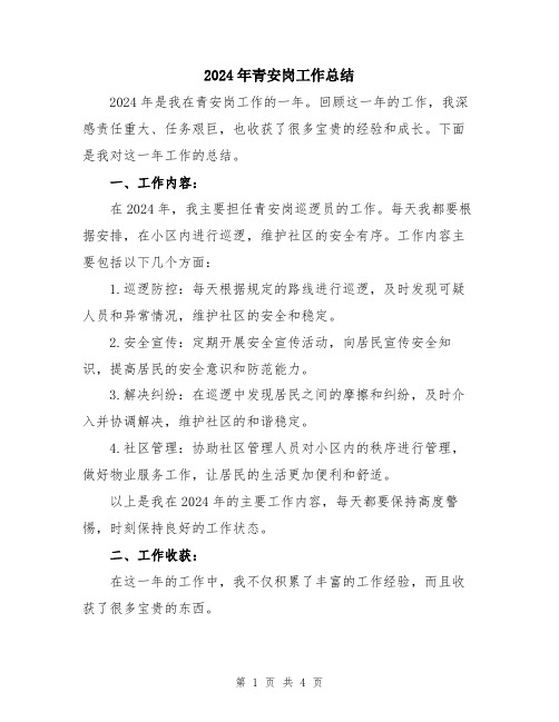 2024年青安岗工作总结
