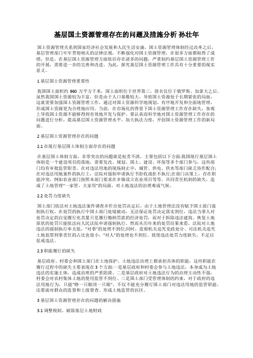 基层国土资源管理存在的问题及措施分析 孙壮年