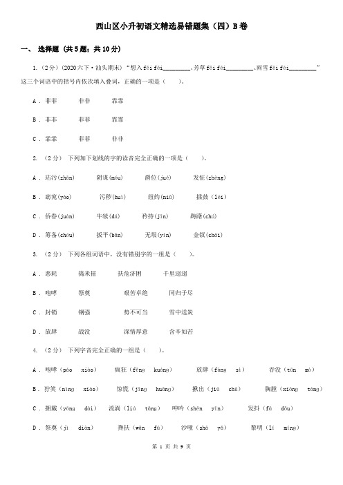 西山区小升初语文精选易错题集(四)B卷