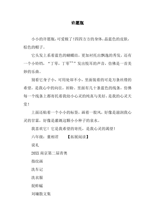 许愿瓶