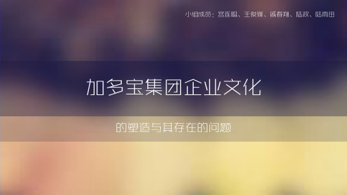 加多宝集团企业文化的塑造与其存在的问题
