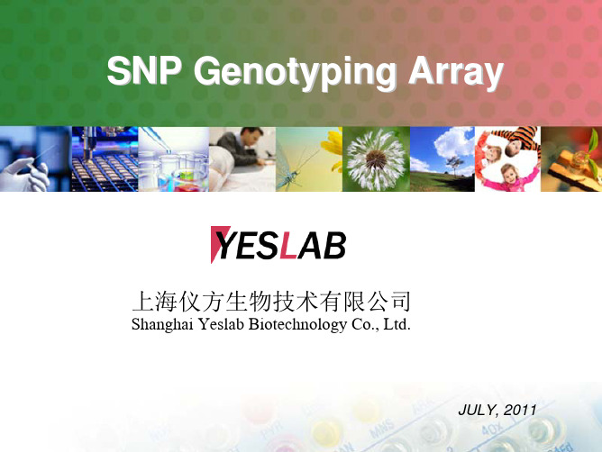 YESLAB_SNP_基因分型芯片