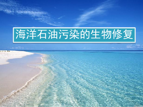 海洋石油污染的生物降解