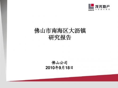 大沥研究报告