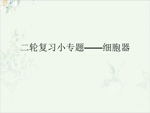 高考二轮复习《小专题细胞器》课件完整版