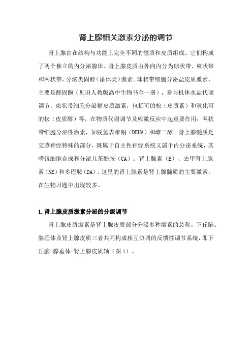 肾上腺相关激素分泌的调节