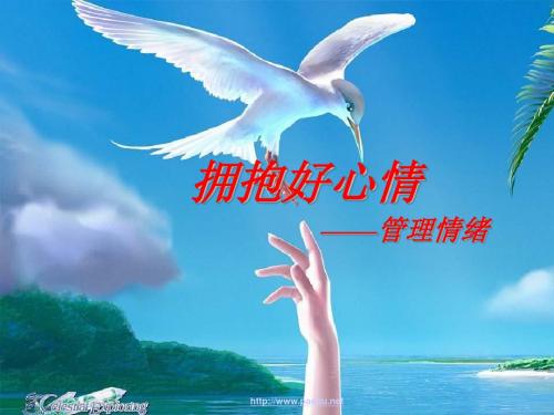 管理情绪培训教材(共 43张PPT)