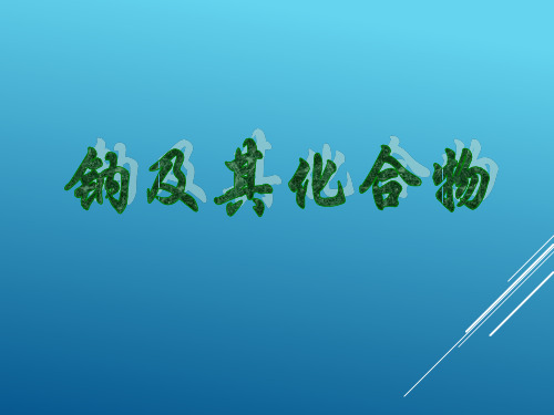 17届高考化学(人教版)总复习钠及其化合物讲义(授课)课件