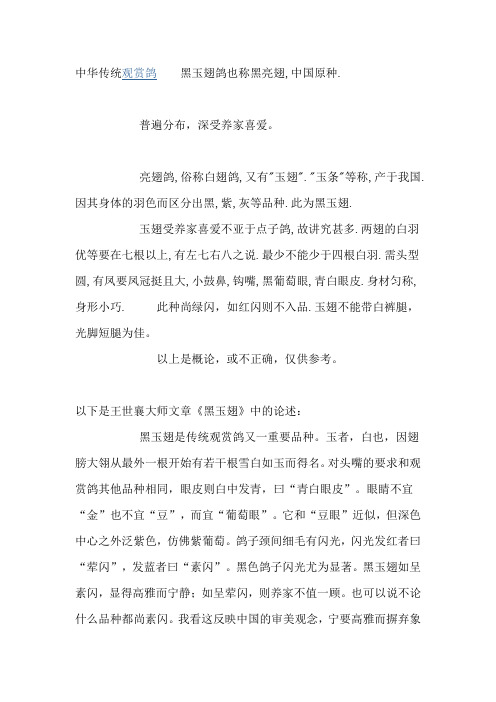 中华传统观赏鸽 黑玉翅鸽